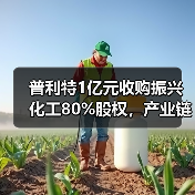 普利特1亿元收购振兴化工80%股权，产业链布局再升级（图4）