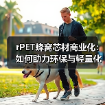 rPET蜂窝芯材商业化：如何助力环保与轻量化？（图4）