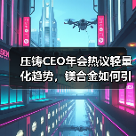 压铸CEO年会热议轻量化趋势，镁合金如何引领未来？（图2）
