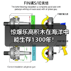 惊爆乐高积木在海洋中能生存1300年！（图4）