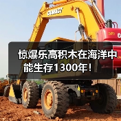 惊爆乐高积木在海洋中能生存1300年！（图1）