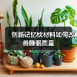 创新记忆枕材料如何改善睡眠质量(图1) 创新记忆枕材料如何改善睡眠质量(图1)