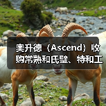 奥升德(Ascend)收购常熟和氏璧、特和工程塑料全部资产(图3) 奥升德(Ascend)收购常熟和氏璧、特和工程塑料全部资产(图3)