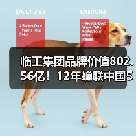 临工集团品牌价值802.56亿!12年蝉联中国500强,全球布局如何引领?(图4) 临工集团品牌价值802.56亿!12年蝉联中国500强,全球布局如何引领?(图4)