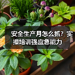 安全生产月怎么抓?实操培训强应急能力(图4) 安全生产月怎么抓?实操培训强应急能力(图4)