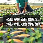 盛禧奥创新回收聚苯乙烯技术助力食品包装可持续发展(图4) 盛禧奥创新回收聚苯乙烯技术助力食品包装可持续发展(图4)