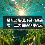 聚苯乙烯循环经济新进展:三大巨头联手推动回收技术革新(图2) 聚苯乙烯循环经济新进展:三大巨头联手推动回收技术革新(图2)