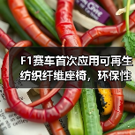 F1赛车首次应用可再生纺织纤维座椅,环保性能如何兼得?(图1) F1赛车首次应用可再生纺织纤维座椅,环保性能如何兼得?(图1)