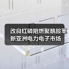 改良红磷阻燃聚酰胺革新亚洲电力电子市场(图3) 改良红磷阻燃聚酰胺革新亚洲电力电子市场(图3)