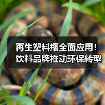 再生塑料瓶全面应用!饮料品牌推动环保转型(图1) 再生塑料瓶全面应用!饮料品牌推动环保转型(图1)