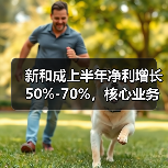 新和成上半年净利增长50%-70%,核心业务如何推动增长?(图3) 新和成上半年净利增长50%-70%,核心业务如何推动增长?(图3)