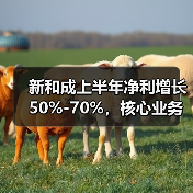 新和成上半年净利增长50%-70%,核心业务如何推动增长?(图4) 新和成上半年净利增长50%-70%,核心业务如何推动增长?(图4)