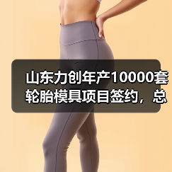 山东力创年产10000套轮胎模具项目签约,总投资10亿启航(图2) 山东力创年产10000套轮胎模具项目签约,总投资10亿启航(图2)