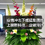 疫情冲击下威猛集团线上展新科技,业绩预计下滑17%(图2) 疫情冲击下威猛集团线上展新科技,业绩预计下滑17%(图2)