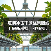 疫情冲击下威猛集团线上展新科技,业绩预计下滑17%(图3) 疫情冲击下威猛集团线上展新科技,业绩预计下滑17%(图3)