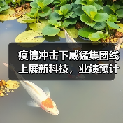 疫情冲击下威猛集团线上展新科技,业绩预计下滑17%(图4) 疫情冲击下威猛集团线上展新科技,业绩预计下滑17%(图4)