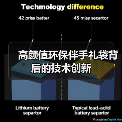 高颜值环保伴手礼袋背后的技术创新(图2) 高颜值环保伴手礼袋背后的技术创新(图2)