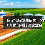 数字化转型典范奖：SAP升级如何打造企业变革标杆？（图1）