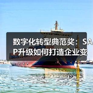 数字化转型典范奖：SAP升级如何打造企业变革标杆？（图2）