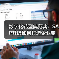 数字化转型典范奖：SAP升级如何打造企业变革标杆？（图3）