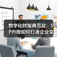 数字化转型典范奖：SAP升级如何打造企业变革标杆？（图4）