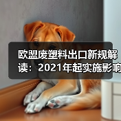 欧盟废塑料出口新规解读:2021年起实施影响(图3) 欧盟废塑料出口新规解读:2021年起实施影响(图3)