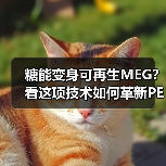 糖能变身可再生MEG?看这项技术如何革新PET产业(图2) 糖能变身可再生MEG?看这项技术如何革新PET产业(图2)