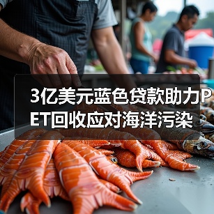 3亿美元蓝色贷款助力PET回收应对海洋污染(图1) 3亿美元蓝色贷款助力PET回收应对海洋污染(图1)