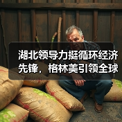 湖北领导力挺循环经济先锋,格林美引领全球资源回收新标杆(图2) 湖北领导力挺循环经济先锋,格林美引领全球资源回收新标杆(图2)
