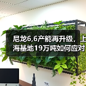 尼龙6,6产能再升级,上海基地19万吨如何应对亚太市场激增需求?(图1) 尼龙6,6产能再升级,上海基地19万吨如何应对亚太市场激增需求?(图1)
