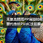 无氯高阻隔PP薄膜如何替代传统PVdC涂层膜？（图3）