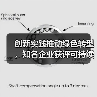 创新实践推动绿色转型，知名企业获评可持续发展奖项（图2）