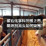 聚石化学科创板上市,阻燃剂龙头如何突围?(图4) 聚石化学科创板上市,阻燃剂龙头如何突围?(图4)