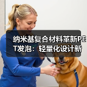 纳米基复合材料革新PET发泡：轻量化设计新突破（图4）