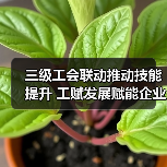 三级工会联动推动技能提升 工赋发展赋能企业创新（图1）