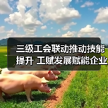 三级工会联动推动技能提升 工赋发展赋能企业创新（图2）