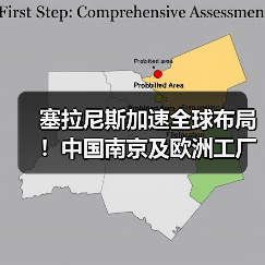 塞拉尼斯加速全球布局！中国南京及欧洲工厂扩产计划曝光（图1）