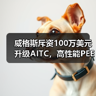 威格斯斥资100万美元升级AITC,高性能PEEK聚合物如何加速产品上市?(图1) 威格斯斥资100万美元升级AITC,高性能PEEK聚合物如何加速产品上市?(图1)