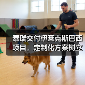 泰瑞交付伊莱克斯巴西项目,定制化方案树立行业标杆(图2) 泰瑞交付伊莱克斯巴西项目,定制化方案树立行业标杆(图2)