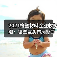 2021橡塑材料企业收购潮：哪些巨头布局新领域？（图4）