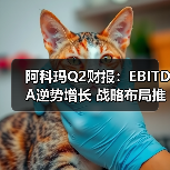 阿科玛Q2财报:EBITDA逆势增长 战略布局推动长期发展(图2) 阿科玛Q2财报:EBITDA逆势增长 战略布局推动长期发展(图2)