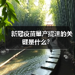 新冠疫苗量产提速的关键是什么?(图3) 新冠疫苗量产提速的关键是什么?(图3)