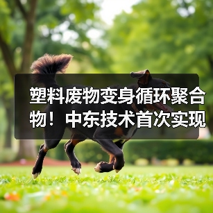 塑料废物变身循环聚合物!中东技术首次实现突破循环经济(图4) 塑料废物变身循环聚合物!中东技术首次实现突破循环经济(图4)