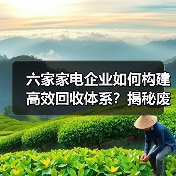六家家电企业如何构建高效回收体系?揭秘废旧家电责任制行动经验(图2) 六家家电企业如何构建高效回收体系?揭秘废旧家电责任制行动经验(图2)