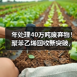 年处理40万吨废弃物!聚苯乙烯回收新突破,食品级rPS如何诞生?(图3) 年处理40万吨废弃物!聚苯乙烯回收新突破,食品级rPS如何诞生?(图3)