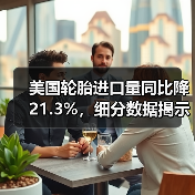 美国轮胎进口量同比降21.3%，细分数据揭示市场变化（图1）
