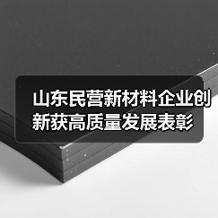 山东民营新材料企业创新获高质量发展表彰（图3）