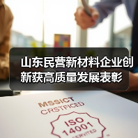 山东民营新材料企业创新获高质量发展表彰（图4）
