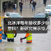 北冰洋每年接收多少微塑料?新研究揭示惊人数据(图1) 北冰洋每年接收多少微塑料?新研究揭示惊人数据(图1)