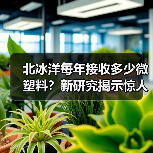 北冰洋每年接收多少微塑料?新研究揭示惊人数据(图2) 北冰洋每年接收多少微塑料?新研究揭示惊人数据(图2)